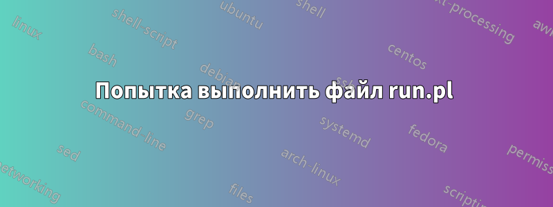 Попытка выполнить файл run.pl