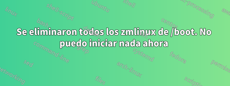 Se eliminaron todos los zmlinux de /boot. No puedo iniciar nada ahora