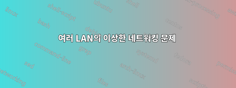 여러 LAN의 이상한 네트워킹 문제