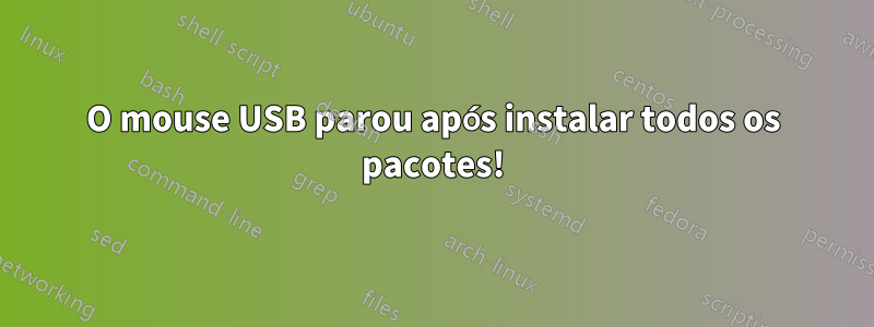 O mouse USB parou após instalar todos os pacotes!