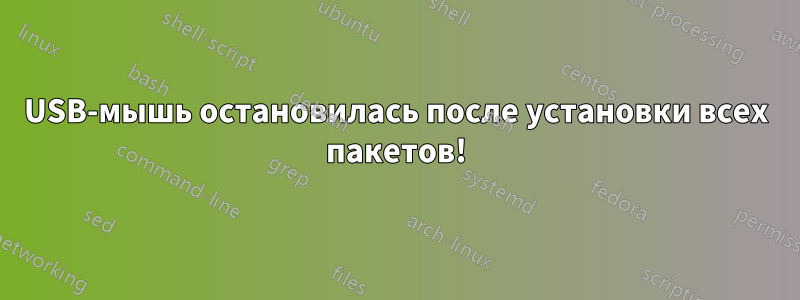 USB-мышь остановилась после установки всех пакетов!
