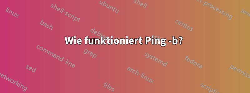 Wie funktioniert Ping -b?