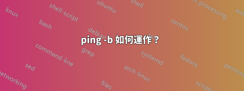 ping -b 如何運作？