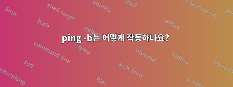 ping -b는 어떻게 작동하나요?
