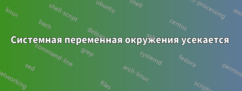 Системная переменная окружения усекается