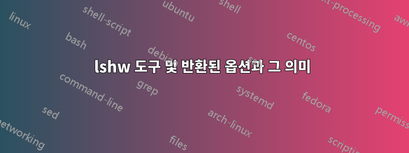 lshw 도구 및 반환된 옵션과 그 의미