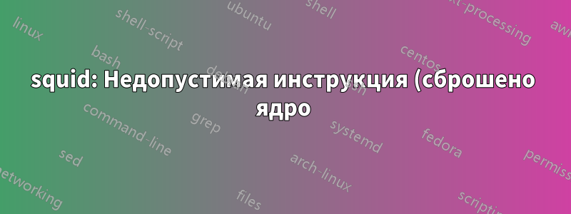 squid: Недопустимая инструкция (сброшено ядро)