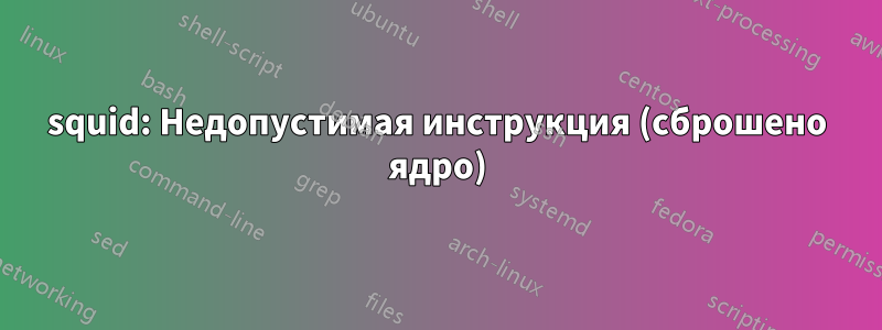 squid: Недопустимая инструкция (сброшено ядро)