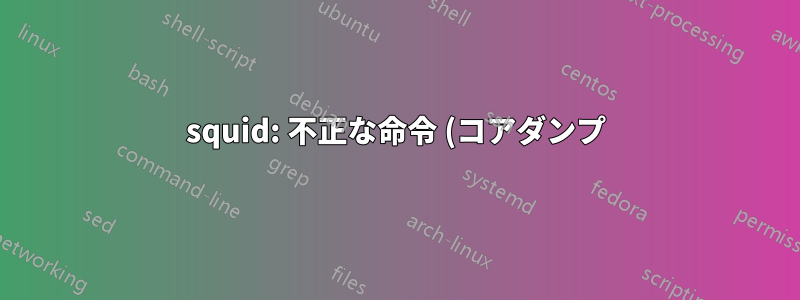 squid: 不正な命令 (コアダンプ)