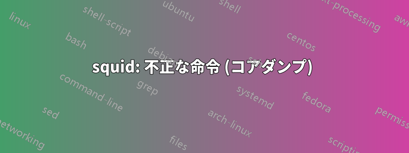 squid: 不正な命令 (コアダンプ)