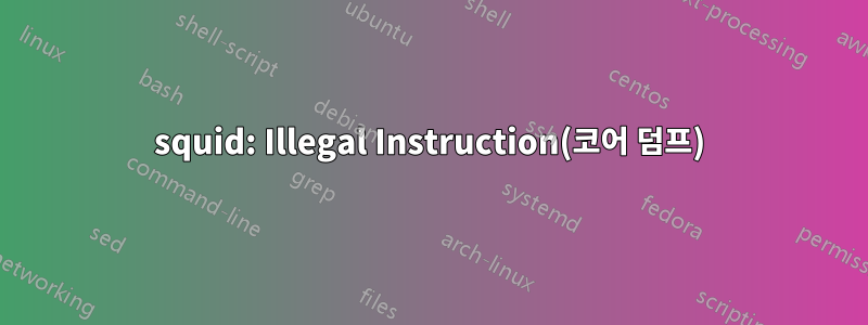 squid: Illegal Instruction(코어 덤프)