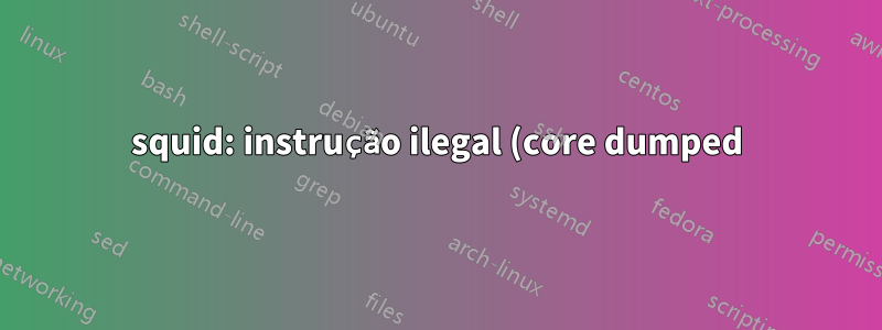 squid: instrução ilegal (core dumped)