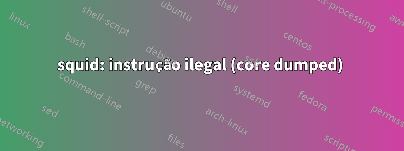 squid: instrução ilegal (core dumped)