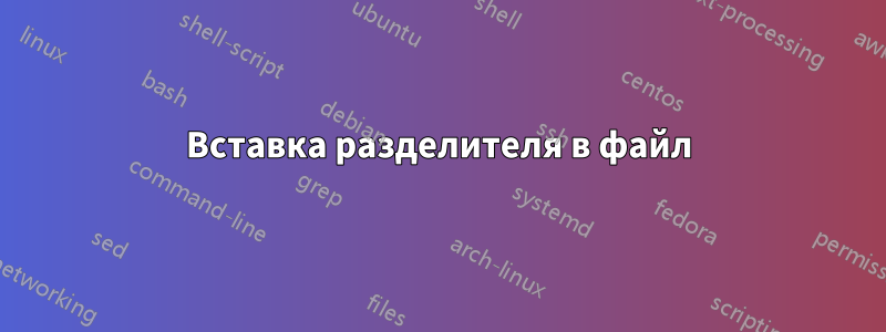 Вставка разделителя в файл