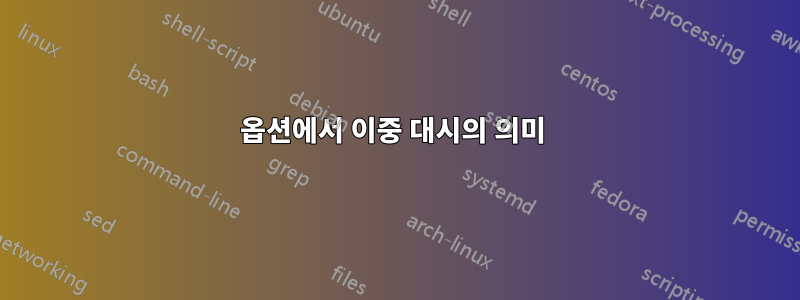 옵션에서 이중 대시의 의미