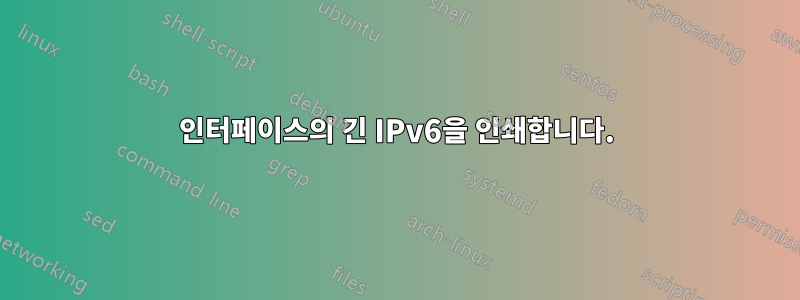 인터페이스의 긴 IPv6을 인쇄합니다.