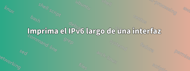 Imprima el IPv6 largo de una interfaz