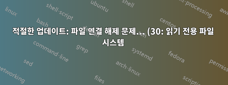 적절한 업데이트: 파일 연결 해제 문제... (30: 읽기 전용 파일 시스템)