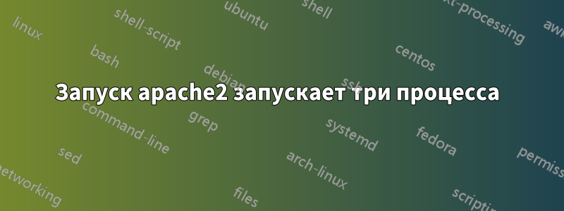 Запуск apache2 запускает три процесса 