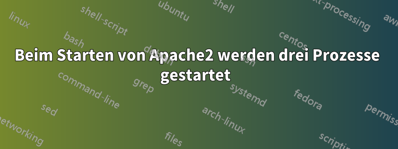 Beim Starten von Apache2 werden drei Prozesse gestartet 