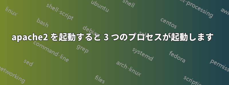 apache2 を起動すると 3 つのプロセスが起動します 