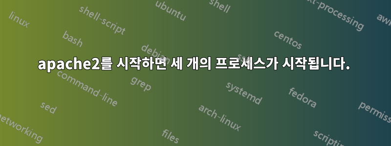 apache2를 시작하면 세 개의 프로세스가 시작됩니다.