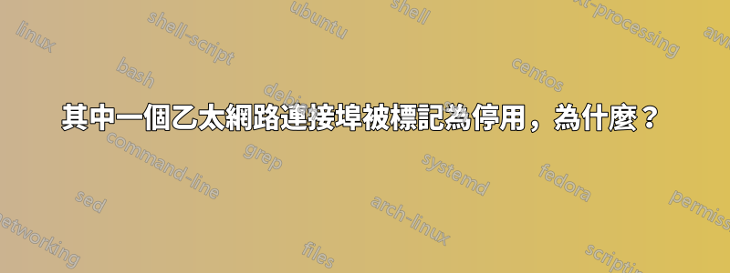 其中一個乙太網路連接埠被標記為停用，為什麼？