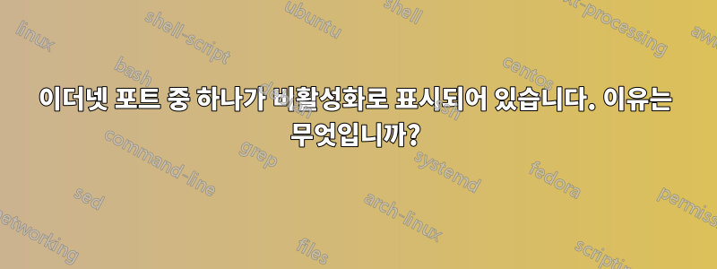 이더넷 포트 중 하나가 비활성화로 표시되어 있습니다. 이유는 무엇입니까?