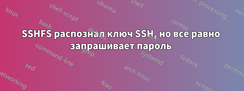 SSHFS распознал ключ SSH, но все равно запрашивает пароль