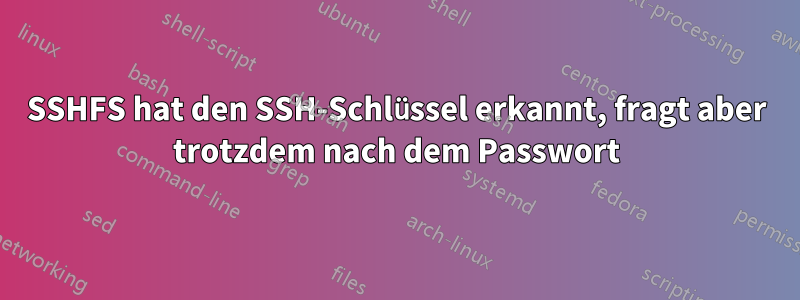 SSHFS hat den SSH-Schlüssel erkannt, fragt aber trotzdem nach dem Passwort