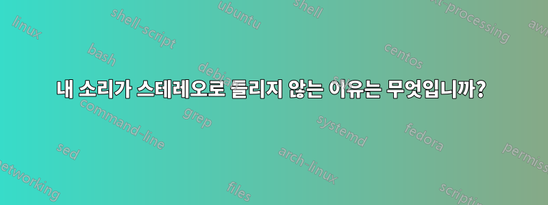 내 소리가 스테레오로 들리지 않는 이유는 무엇입니까?