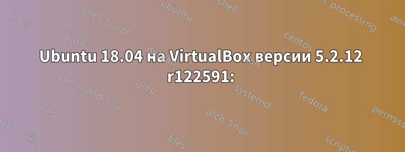 Ubuntu 18.04 на VirtualBox версии 5.2.12 r122591: