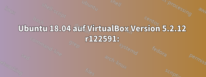 Ubuntu 18.04 auf VirtualBox Version 5.2.12 r122591: