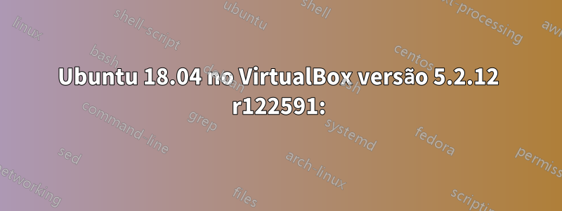 Ubuntu 18.04 no VirtualBox versão 5.2.12 r122591: