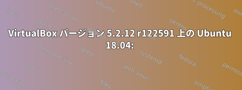 VirtualBox バージョン 5.2.12 r122591 上の Ubuntu 18.04: