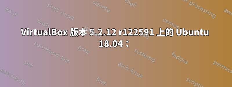 VirtualBox 版本 5.2.12 r122591 上的 Ubuntu 18.04：