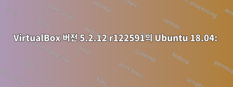 VirtualBox 버전 5.2.12 r122591의 Ubuntu 18.04: