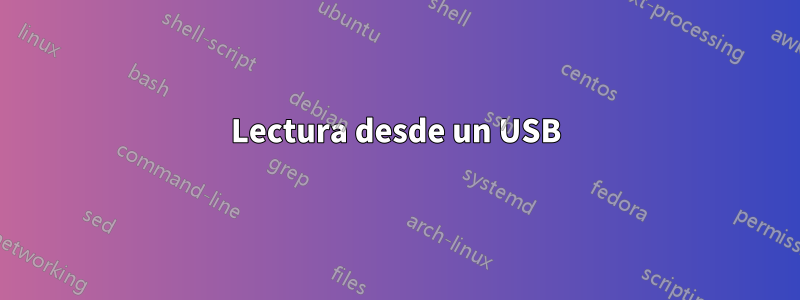 Lectura desde un USB