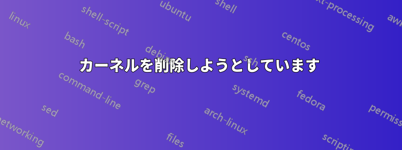 カーネルを削除しようとしています