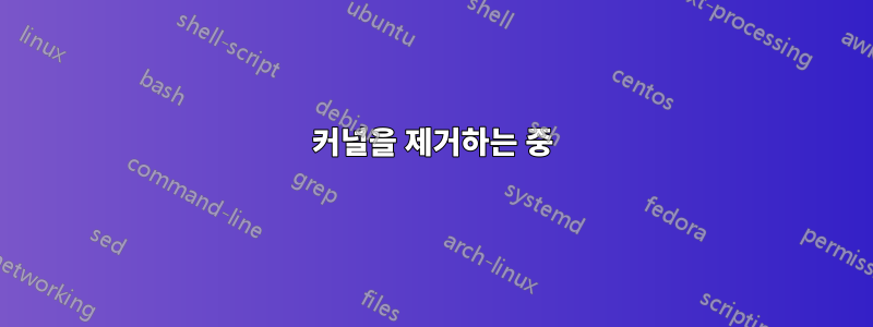 커널을 제거하는 중