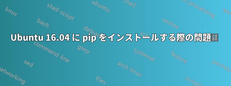 Ubuntu 16.04 に pip をインストールする際の問題⠀