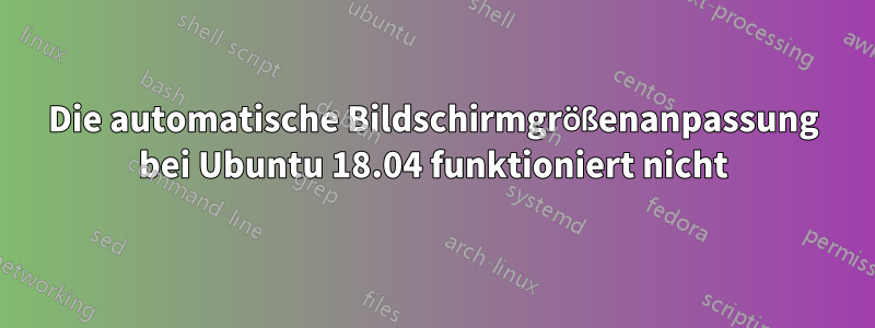 Die automatische Bildschirmgrößenanpassung bei Ubuntu 18.04 funktioniert nicht