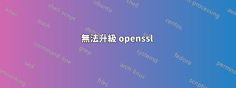 無法升級 openssl