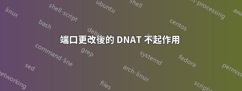 端口更改後的 DNAT 不起作用