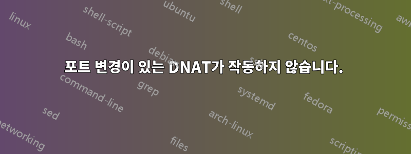 포트 변경이 있는 DNAT가 작동하지 않습니다.