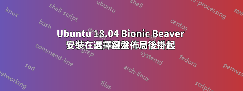 Ubuntu 18.04 Bionic Beaver 安裝在選擇鍵盤佈局後掛起