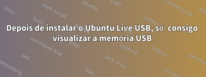 Depois de instalar o Ubuntu Live USB, só consigo visualizar a memória USB