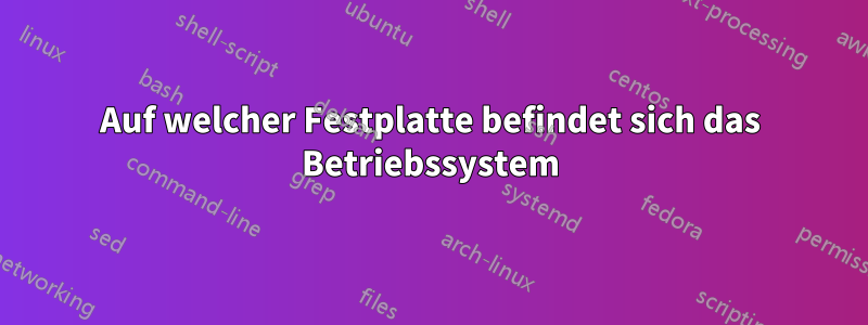 Auf welcher Festplatte befindet sich das Betriebssystem