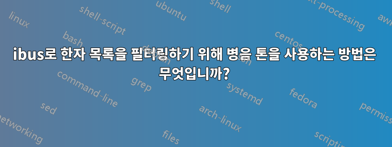 ibus로 한자 목록을 필터링하기 위해 병음 톤을 사용하는 방법은 무엇입니까?