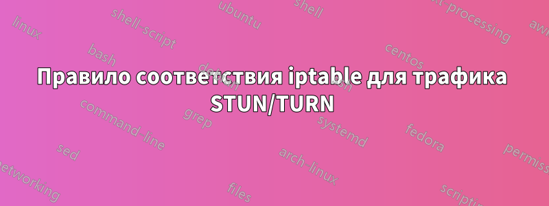 Правило соответствия iptable для трафика STUN/TURN